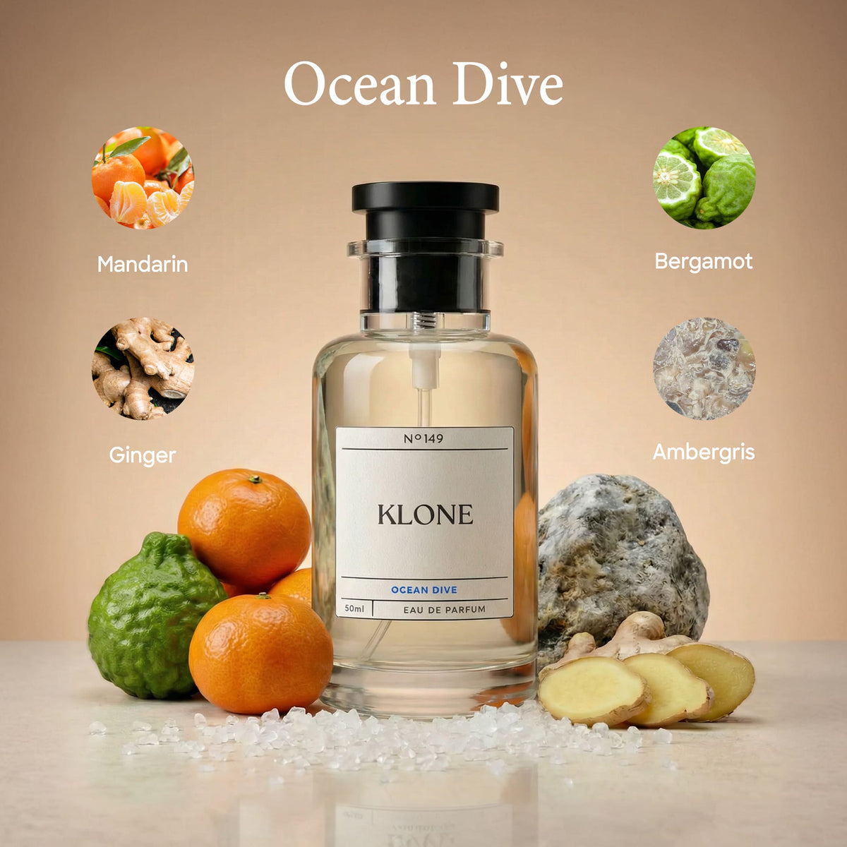 Ocean Dive